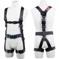 srtxnqnm@򉍃n[lX@n[lX{̂̂݁@