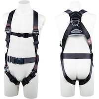 srtxnqnm@RAn[lX@n[lX{̂̂݁@