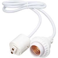 �x�`�y�`�v�`�@���C�e�B���O�_�N�g���[���p�\�P�b�g��