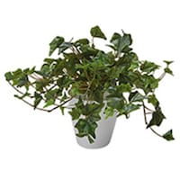 �m�`�h�j�h�@�l�H���؁i�A�C�r�[�j