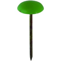 �c�`�h�c�n�g�`�m�s�@�@��~���e�@�O���[���@�i�a�F��