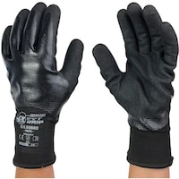 �v�h�m�b�d�r�r�@�j�g�����w������܁@�ϖ��@�t���R�[