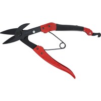 cnfxt@vJb^[@jcv|OQQZLEQ