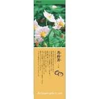 ���j�b�g�@�V�[���M�������[�@���Ⴊ�����@�o�u�b�X�e