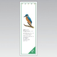 ���j�b�g�@�V�[���M�������[�@�J���Z�~�@�o�u�b�X�e�b