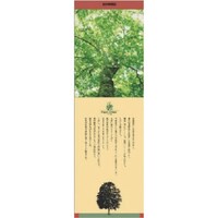 ���j�b�g�@�V�[���M�������[�@�Ԃȁ@�o�u�b�X�e�b�J�[