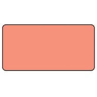 jbg@zǃXebJ[@Ԗniɏj@