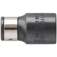 AlbNX@蓮CpNghCo[pA_v^[@