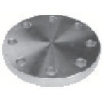 ���������@�u���C���h�t�����W�@�r�t�r�R�P�U�k�@�a�e