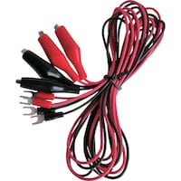 �e�C�V���@�[�q�t�e�X�g���[�h�@�P�O�O�����@�x���[�q�̃V�[���h�N���b�v�l�@�i�S�{�j