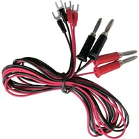 �e�C�V���@�[�q�t�e�X�g���[�h�@�P�O�O�����@�x���[�q�̃o�i�i�v���O�@�i�S�{���j