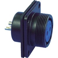 �����@�h�����^���R�l�N�^�@�m�i�v�|�Q�O�V���[�Y�@�V