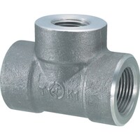 �t�W�g�N�@�a�Ⴂ�`�[�Y�@�ٌ`�@�e�B�[�@�Q�O�`�~�P�T�`�@�Y�f�|�@�˂�����