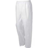 �J�W���C�N�@�i�C�����p���c�@�z���C�g�@�l