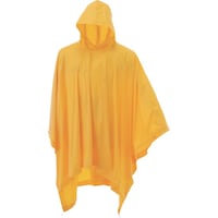 �J�W���C�N�@���C���|���`���@�C�G���[�@�e