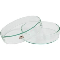 �`�r�@�t���b�g�V���[���e�r�|�X�O�`