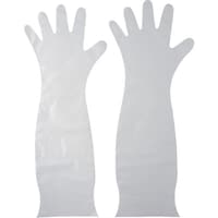 �`�r�@�|���G�`���������O��܂l