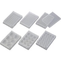 �`�r�@�}���`�v���E�F���v���[�g�@�R�T�P�U�@�i�T�O��