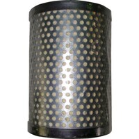 �O�c�V�F���@�R�ۃG�N�Z���E�r�C�t�B���^�|�p�����G��