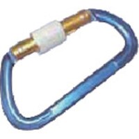 ���{�@�A���~�J���r�i�i�t�j�i�u���[�j�@���a�P�Q��