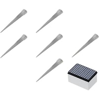 �`�r�@�A�C�r�X�X�y�A�{�b�N�X�h�m�P�Q�Q�W�O�P�b