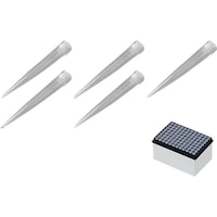 �`�r�@�A�C�r�X�X�y�A�{�b�N�X�h�m�P�Q�Q�W�O�S�b