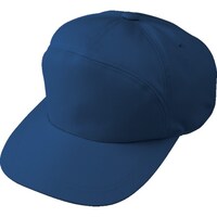 �R�[�R�X�@�ۃ��C�h�^�X�q�`�|�P�V�U�U�@�U�c�A�Y�[��