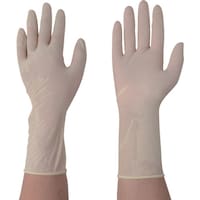 �`�r�@�`�o���e�b�N�X��܌���@�l�@�w��G���{�X