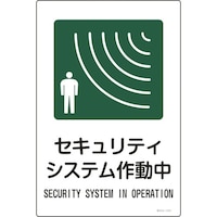 �Ώ\���@�C���X�g�W���@�Z�L�����e�B�V�X�e���쓮���@