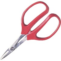 �`�r�@�����p�n�T�~�R�T�O�|�s