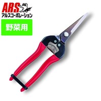 �E���������O�^�C�v