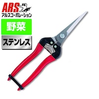 �E�ʃG�N�X�g�������O�X�e�����X