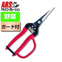 �E�ʃG�L�X�g�������O�K�[�h�t