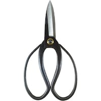 ���n��v�����@�c�w