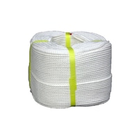 �G�X�e�����[�v�@����