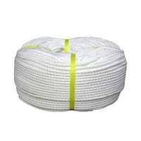 �G�X�e�����[�v�@����