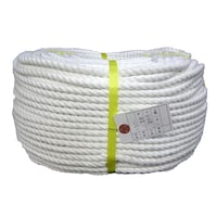 �G�X�e�����[�v�@����