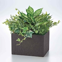 v^[anwO[@fBtFoLA~bNX