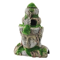 �����������������@�A�N�A���E���I�[�i����