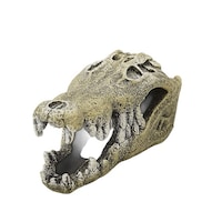 �����������������@�A�N�A���E���I�[�i����