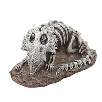 �����������������@�A�N�A���E���I�[�i�����g�@�g���P���g�v�X�̉���