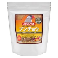 �o�q�n�@�`�c�u�`�m�b�d�@�u���`���E