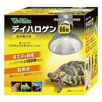 �f�C�n���Q���@�U�U�v