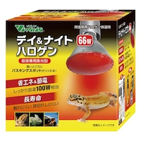 �f�C���i�C�g�n���Q���@�U�U�v