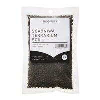 �e�����E���\�C��