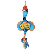 n[c@^tofBo[h@rTCY@u[