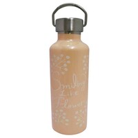 �����@�X�e�����X�{�g���@�~�A�@�ۉ��ۗ�@�s���N