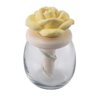 �A���}�f�B�t���[�U�[�@�o���@�ԁ@����@�C�G���[