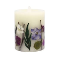 �L�����h���@�V���[�g�@�k�d�c�@�ԁ@�p�[�v��