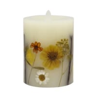 �L�����h���@�V���[�g�@�k�d�c�@�ԁ@�C�G���[